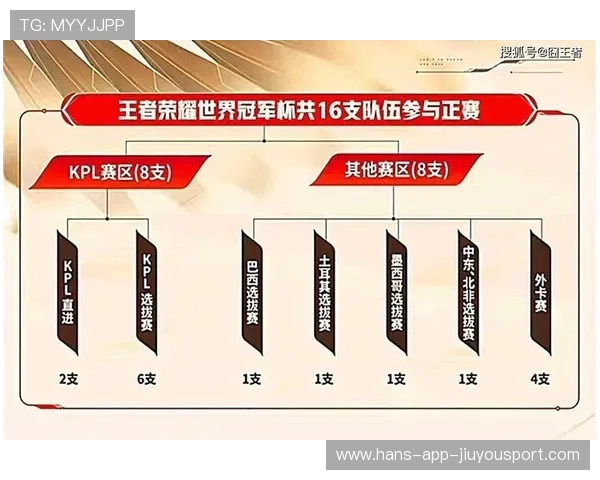 战队外援选手适应交流机制优化推动团队融合，战队赛外援有次数限制吗